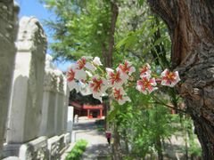 -北京石刻艺术博物馆(五塔寺)