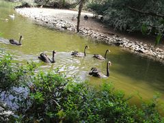 -长白岛森林公园