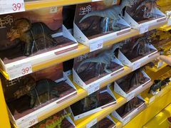 -KKV(深圳宏发大仟里店)