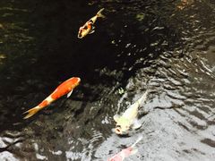 -顺景温泉