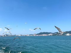 -刘公岛景区