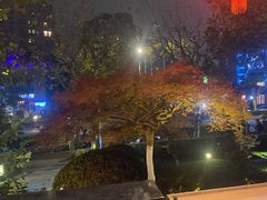 -荷风细雨·中国茶宴(碧云店)