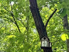 -长春市南湖公园