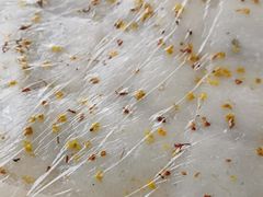 -阿毛方糕(七宝镇步行街店)