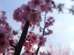 -白塘生态植物园