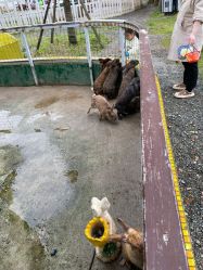 -前小桔亲子创意农场·草莓采摘·露营烧烤