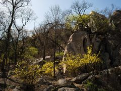 -北京鹫峰国家森林公园