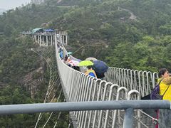 -天台山景区