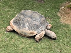 -灵玲国际马戏城