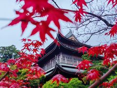 -龙华寺