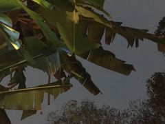 -哈哈曲艺社(西门闲亭店)