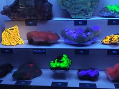 -湖南省地质博物馆