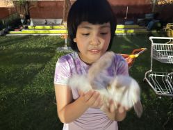 -小蜜蜂农场(凯德七宝购物广场店)