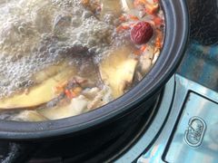 -蘑统田下·野生菌火锅