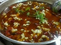 -重庆乌鱼庄·龙滋鲜(青羊大道店)