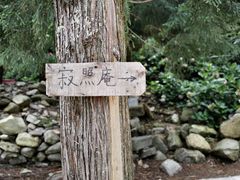 -寂照庵
