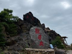 -大鹿岛
