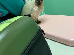 -全心全意连锁动物医院(石景山店)