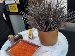 -景泰马记电烤串(沙子口店)