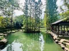 -兰亭风景区