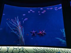 -沈阳海洋探索中心