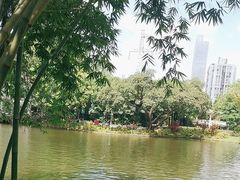 -晓港公园