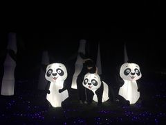 -亚龙湾国际玫瑰谷