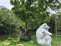 -深圳野生动物园