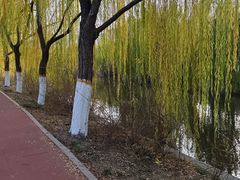 -南翠屏公园