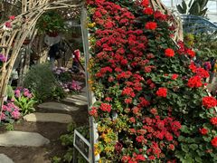 -石家庄市植物园