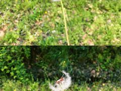 -镇江市南山风景名胜区竹林景区