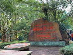 -海口火山口国家地质公园