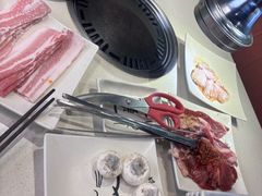 -猫爪爪原切自助烤肉(观音桥阳光世纪店)