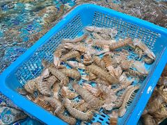 -蚝得喜海鲜(东城店)