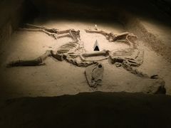 -洛阳周王城天子驾六博物馆