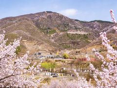 -妙峰山风景名胜区