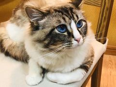 -白兔子密室(长寿路店)