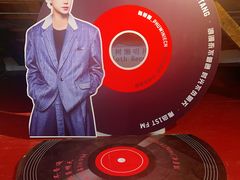 -树懒黑胶唱片店(中山路店)