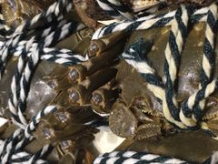 -徽三说·土徽菜·中国徽菜连锁品牌(一中店)