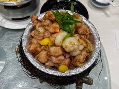 -丁老爷子苏香圆