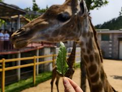 -西霞口神雕山野生动物世界