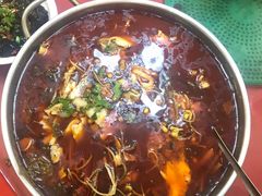 -重庆火锅水库鱼庄(南油店)