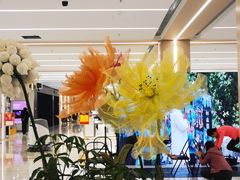 -凯德MALL(望京店)