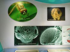 -上海昆虫博物馆