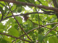 -宝能国际体育演艺中心