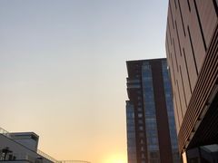 -中国宋庆龄青少年科技文化交流中心