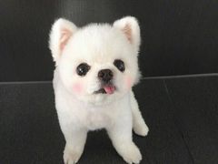 -无声臭豆腐(大井1号店)