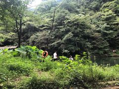 -白云源风景区