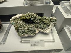 -湖南省地质博物馆