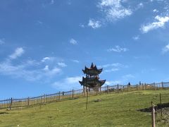 -戴师傅川西坝子(彩泉旗舰店)
